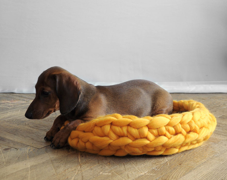 Camas extremadamente robustas para mascotas, tejidas por Anna Mo