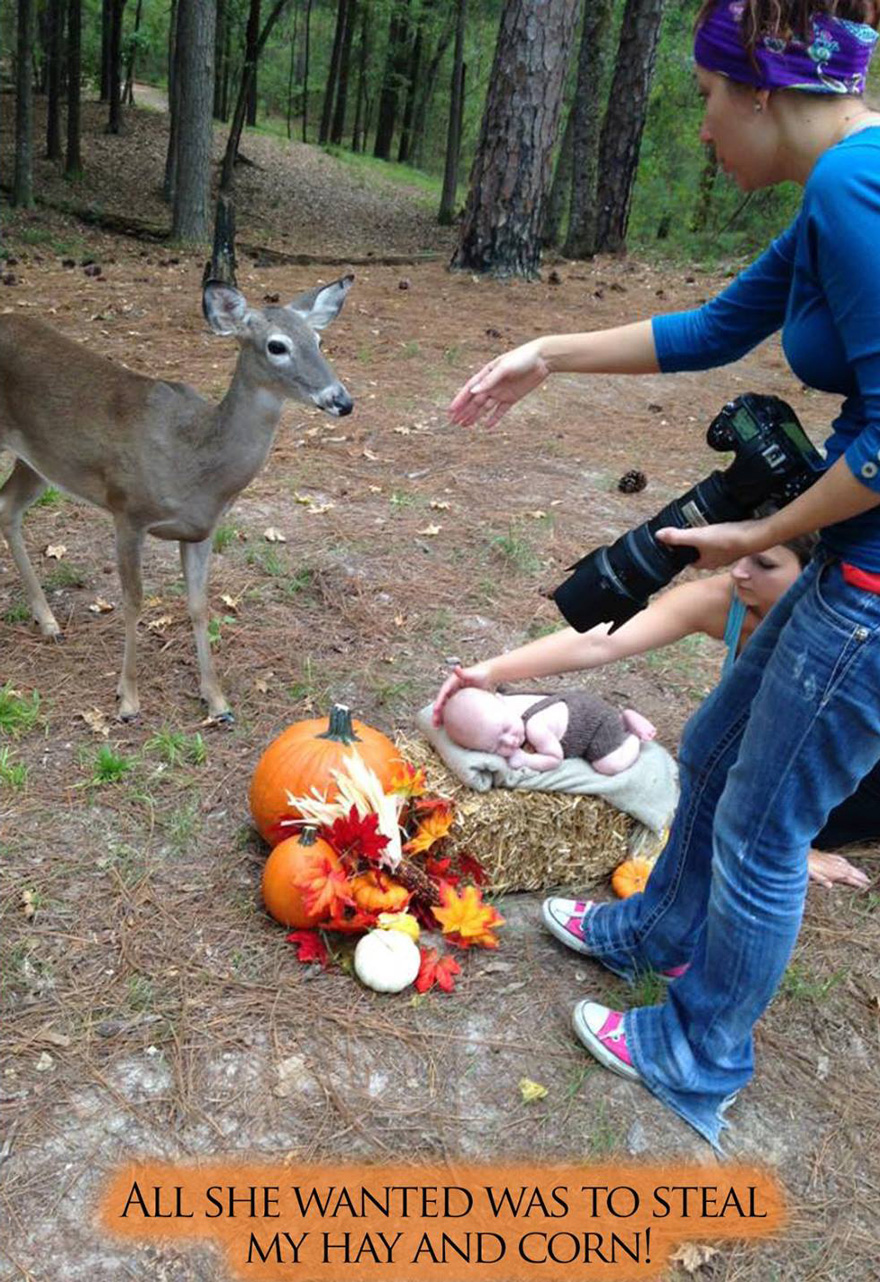 Un ciervo hace photobomb en la sesión fotográfica de un bebé, convirtiéndola en un cuento de hadas