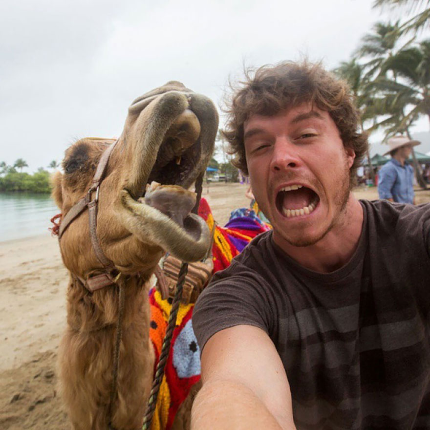 experto-selfies-animales-allan-dixon (2)