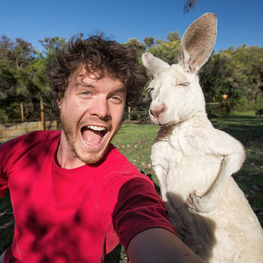 experto-selfies-animales-allan-dixon (5)