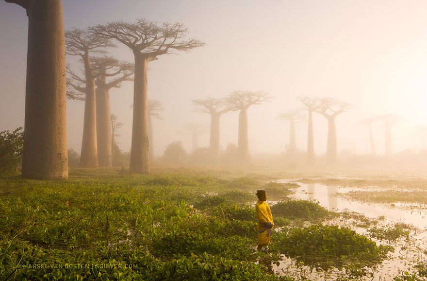 Las mejores fotos de National Geographic en 2015