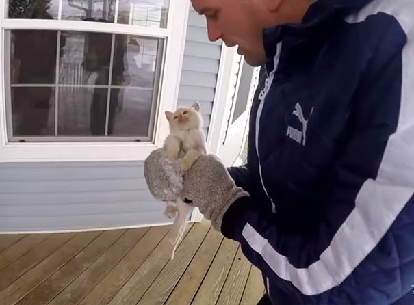 Una familia "resucita" a un gatito congelado que encontraron bajo la nieve