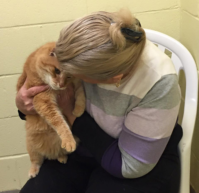 Esta mujer adoptó a un gato anciano y luego volvió al refugio a adoptar a su mejor amigo de 16 años