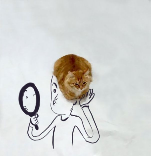 meme-foto-gato-dibujos-divertidos (1)