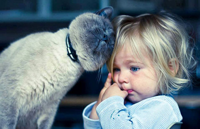 20 Encantadoras fotos que demuestran que los niños necesitan mascotas