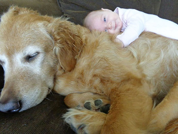 20 Encantadoras fotos que demuestran que los niños necesitan mascotas