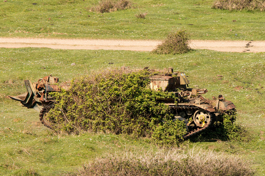 15 Tanques devorados por la naturaleza como si nunca hubiera habido guerra