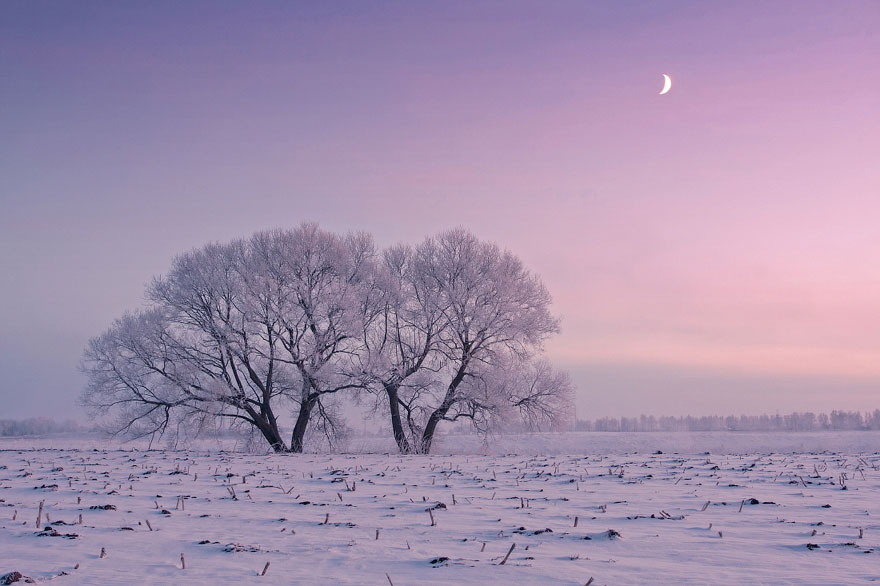 Este fotógrafo bielorruso se levanta muy temprano para captar la belleza del invierno