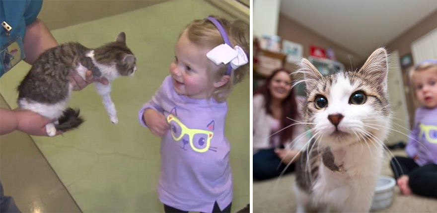 Este gatito de 3 patas y esta niña amputada se convirtieron en mejores amigos