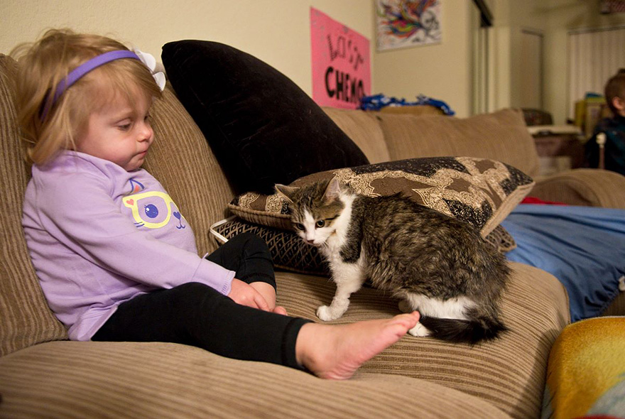 Este gatito de 3 patas y esta niña amputada se convirtieron en mejores amigos