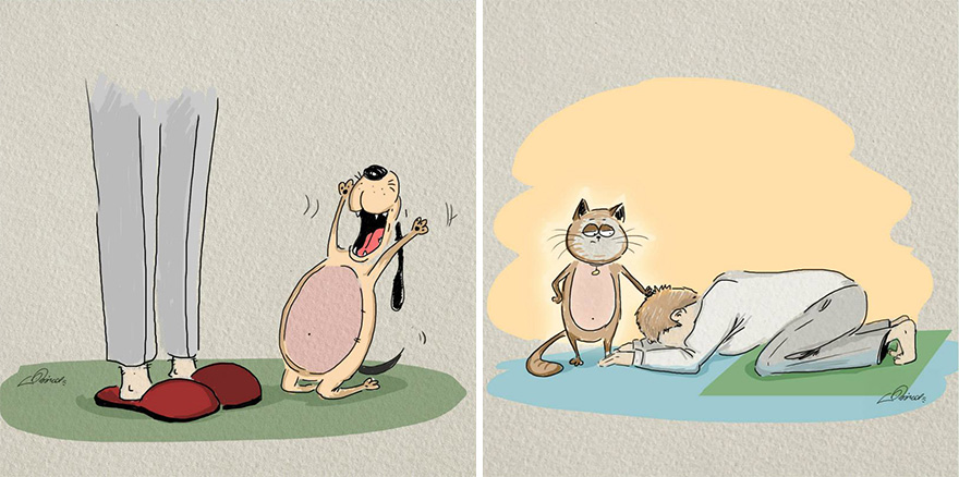 ilustraciones-diferencias-gatos-perros-bird-born (1)