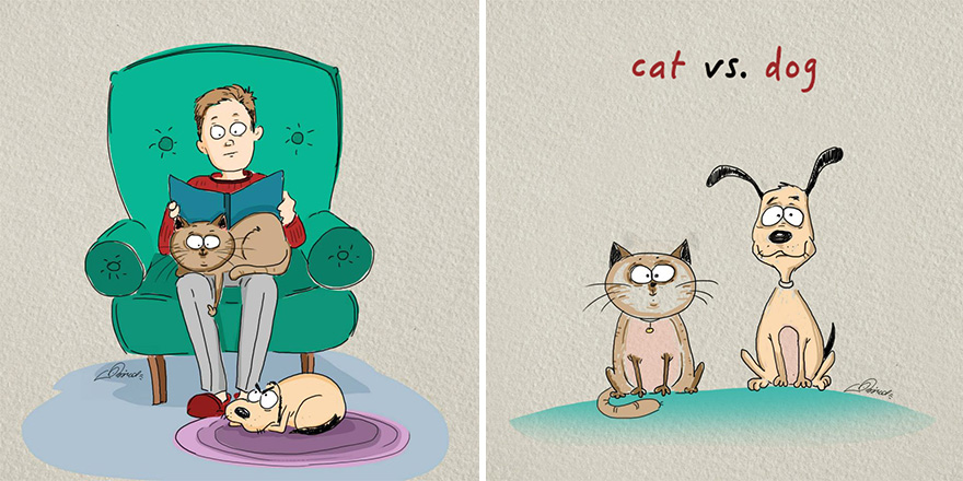 ilustraciones-diferencias-gatos-perros-bird-born (4)