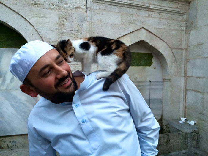Este imán abre las puertas de su mezquita a los gatos callejeros para que tengan calor