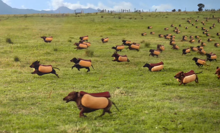 Una divertida estampida de perros salchicha en el anuncio de Heinz para la Super Bowl