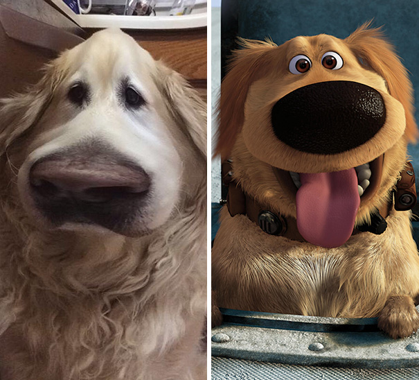 Este filtro de Snapchat hace que tu perro se parezca a Dug de la película "Up"