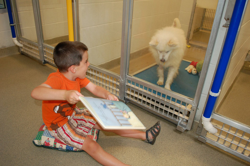 Estos niños practican la lectura para calmar a los perros más temerosos del refugio