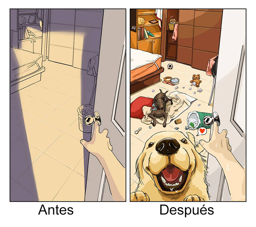 La vida antes y después de tener un perro