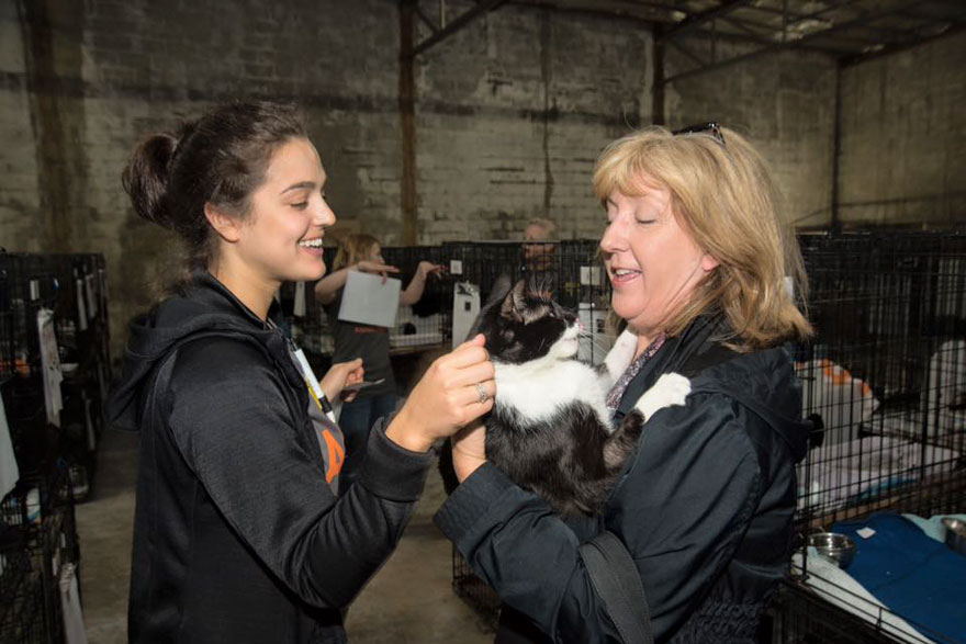 Había 524 Perros y gatos en este evento masivo de adopción, ¡y TODOS encontraron un hogar!