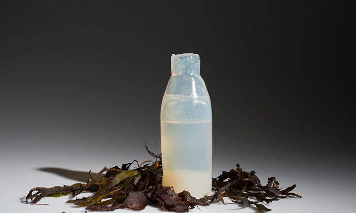 Botellas de agua biodegradables hechas con algas como alternativa ecológica al plástico
