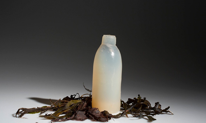 Botellas de agua biodegradables hechas con algas como alternativa ecológica al plástico