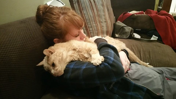 Esta mujer rescató a un gato de 21 años abandonado por su dueño para darle sus mejores últimos días