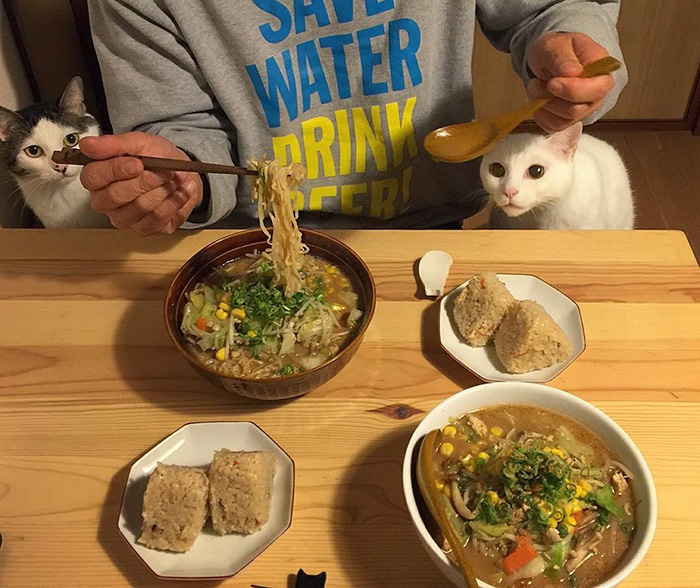 Esta pareja japonesa capta cada vez que sus gatos les miran mientras comen