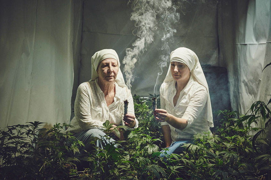 monjas-hermanas-valle-cultivo-marihuana-medicinal (12)