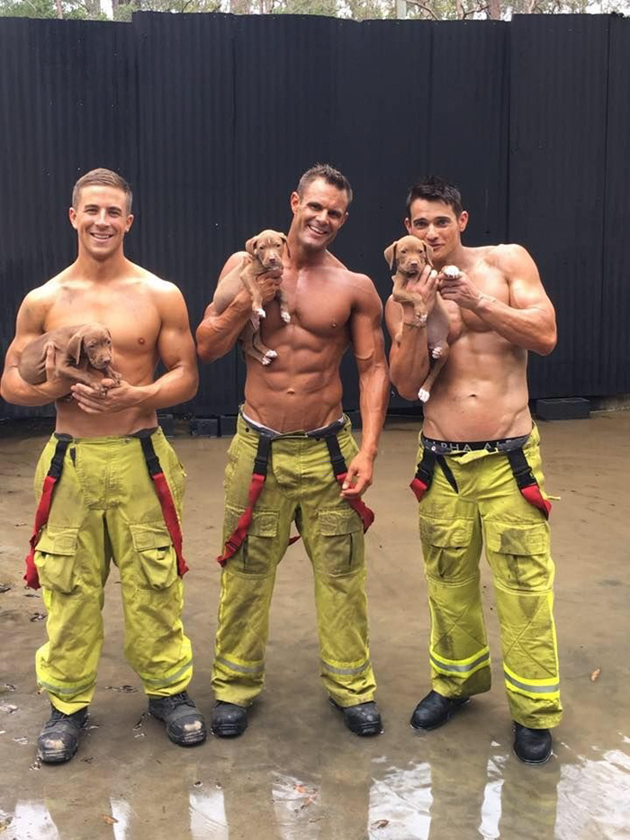 calendario-benefico-bomberos-cachorros-australia (5)