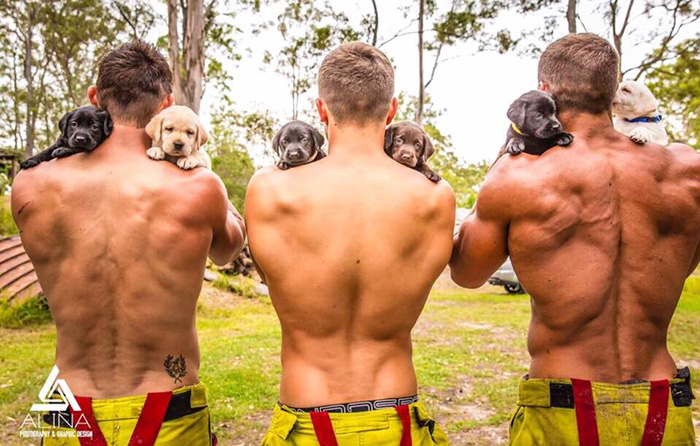 calendario-benefico-bomberos-cachorros-australia (8)