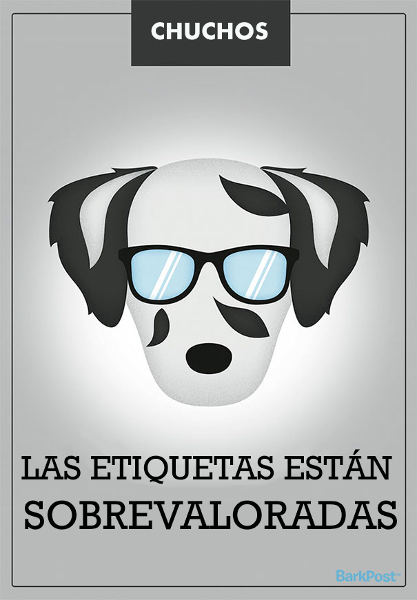 ilustraciones-eslogan-razas-perros-10