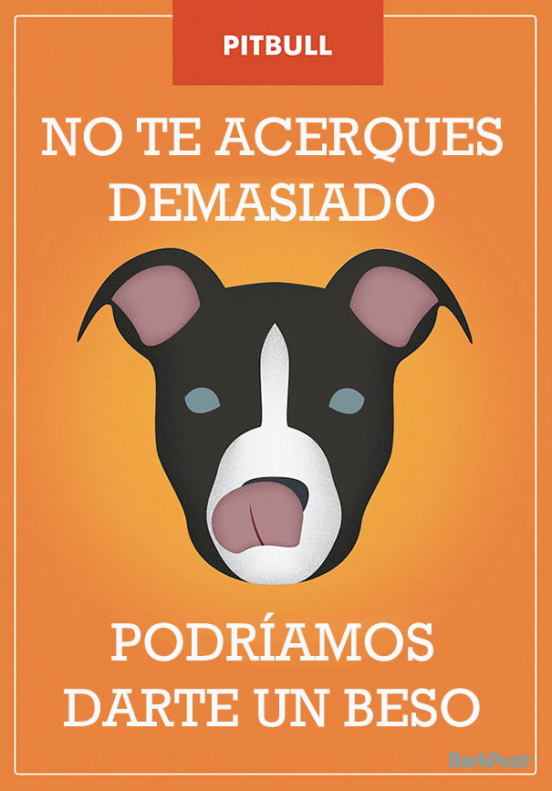 ilustraciones-eslogan-razas-perros-11