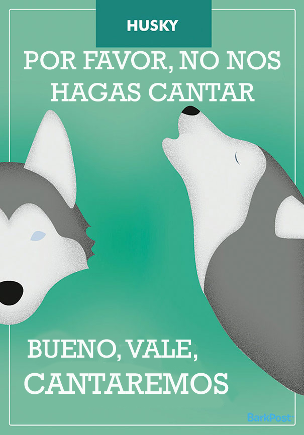 ilustraciones-eslogan-razas-perros-12