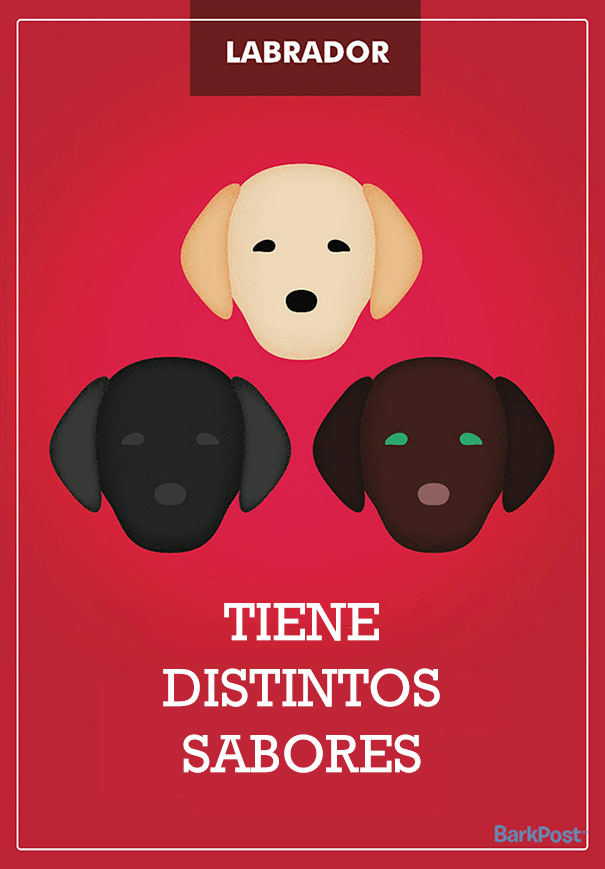 ilustraciones-eslogan-razas-perros-3