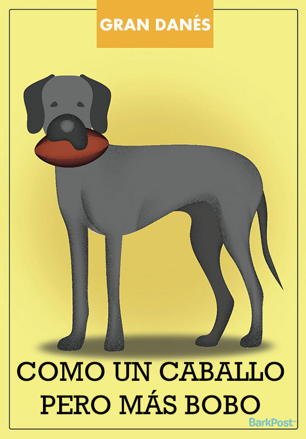ilustraciones-eslogan-razas-perros-4