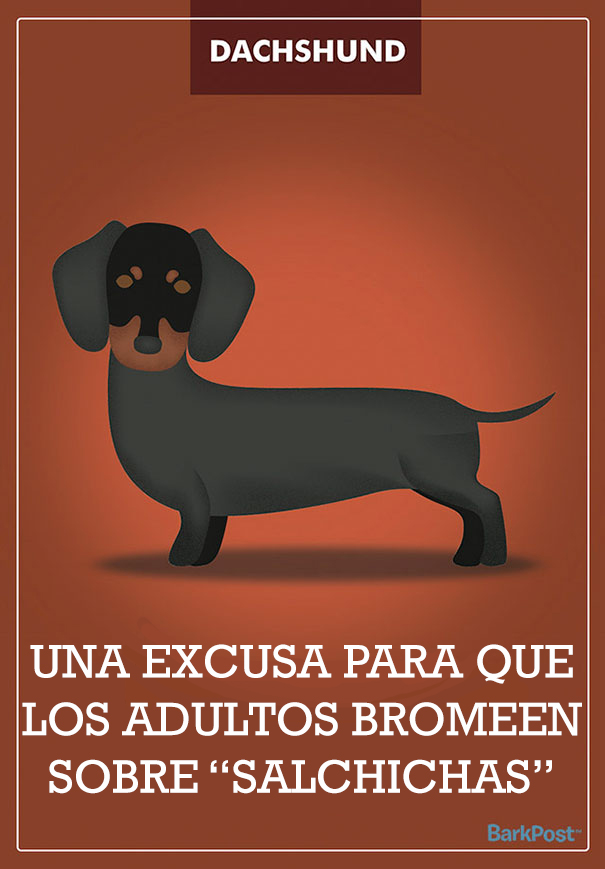 ilustraciones-eslogan-razas-perros-7