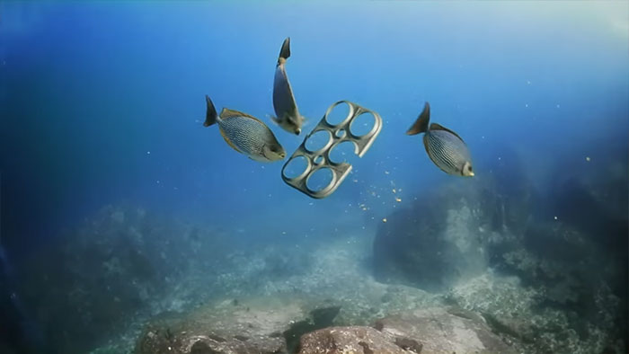 Estas anillas comestibles alimentarán a las criaturas marinas en vez de matarlas