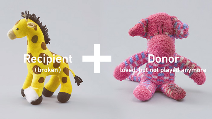 Estos juguetes viejos reciben miembros donados para educar a los niños sobre transplantes de órganos