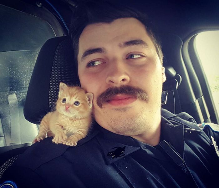 gato-squirt-rescatado-policia-donutoperator (6)