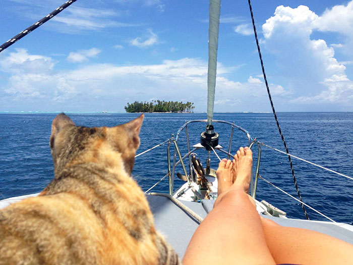 navegar-mundo-barco-gato-amelia-liz-clark (11)