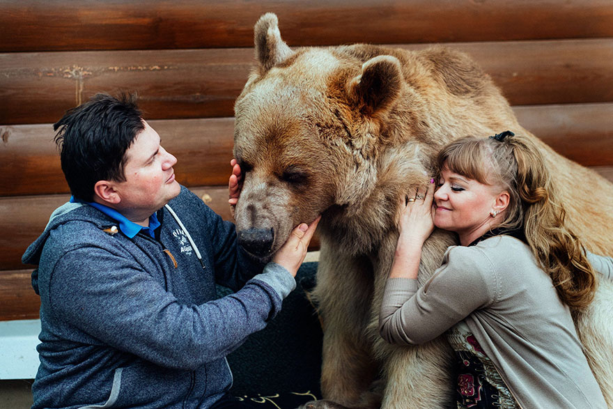 Esta pareja rusa adoptó un oso huérfano hace 23 años y aún viven juntos