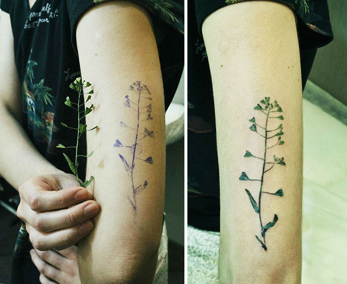 plantilla-tatuajes-flora-hojas-flores-rit-kit (5)