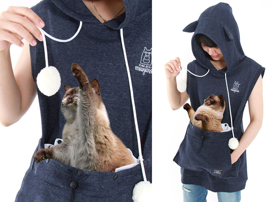 traqueteo combinación Detectable Esta sudadera gatuna con bolsa de canguro te permite llevar a tu gato donde  quieras (edición de verano) | Bored Panda