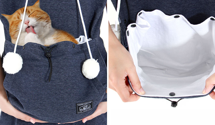 traqueteo combinación Detectable Esta sudadera gatuna con bolsa de canguro te permite llevar a tu gato donde  quieras (edición de verano) | Bored Panda
