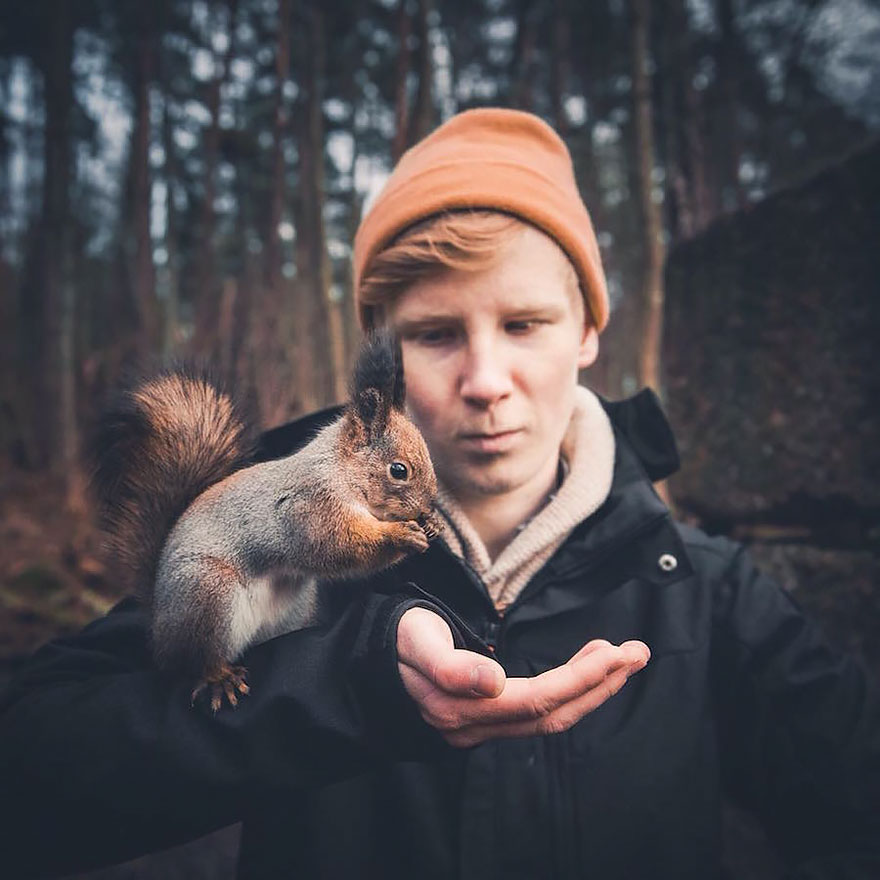 fotos-alimentando-animales-salvajes-finlandia-konsta-punkka-2 (13)