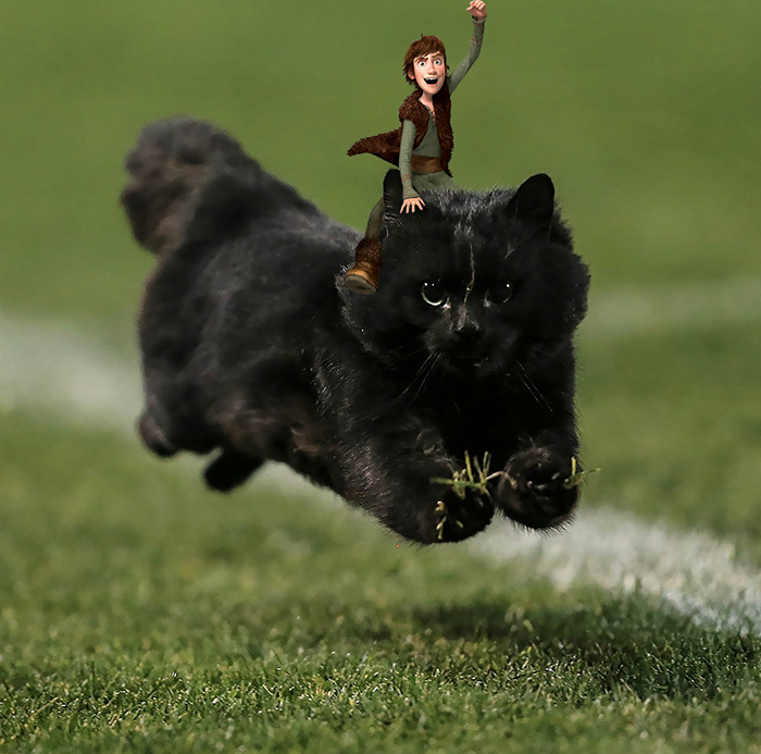 gato-volador-partido-rugby-photoshop (6)