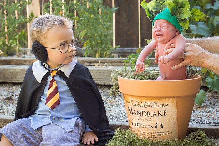 Esta sesión de fotos de Harry Potter con un bebé haciendo de mandrágora  chillona se ha vuelto viral
