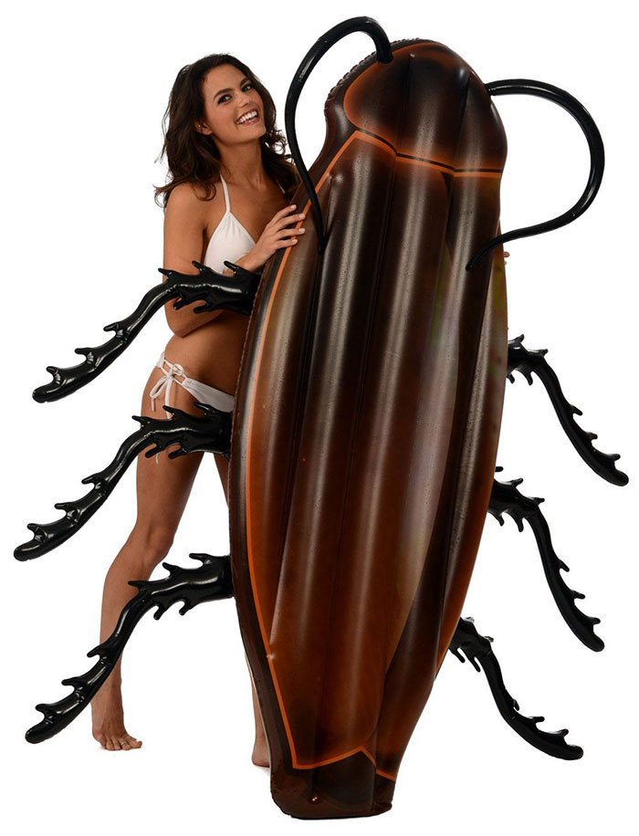 cucaracha-gigante-hinchable-piscina-kangaroo (1)