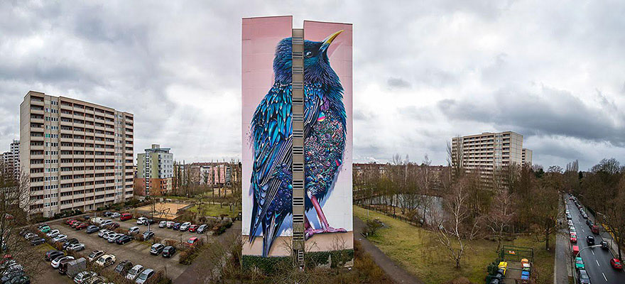 mural-gigante-estornino-arte-urbano-berlin (5)
