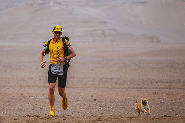 perro-callejero-corredor-maraton-dion-leonard-gobi-china (1)