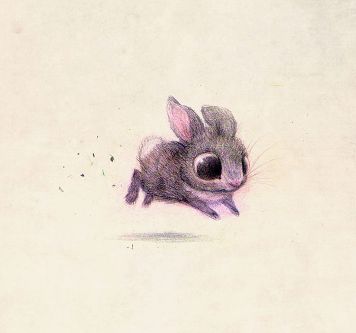 adorables-ilustraciones-animales-sydney-hanson (7)